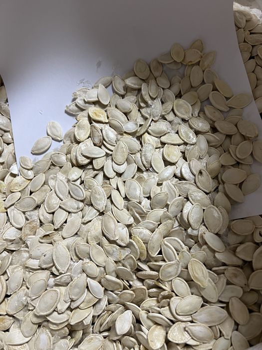 Гарбузове насіння (український багатоплідний)