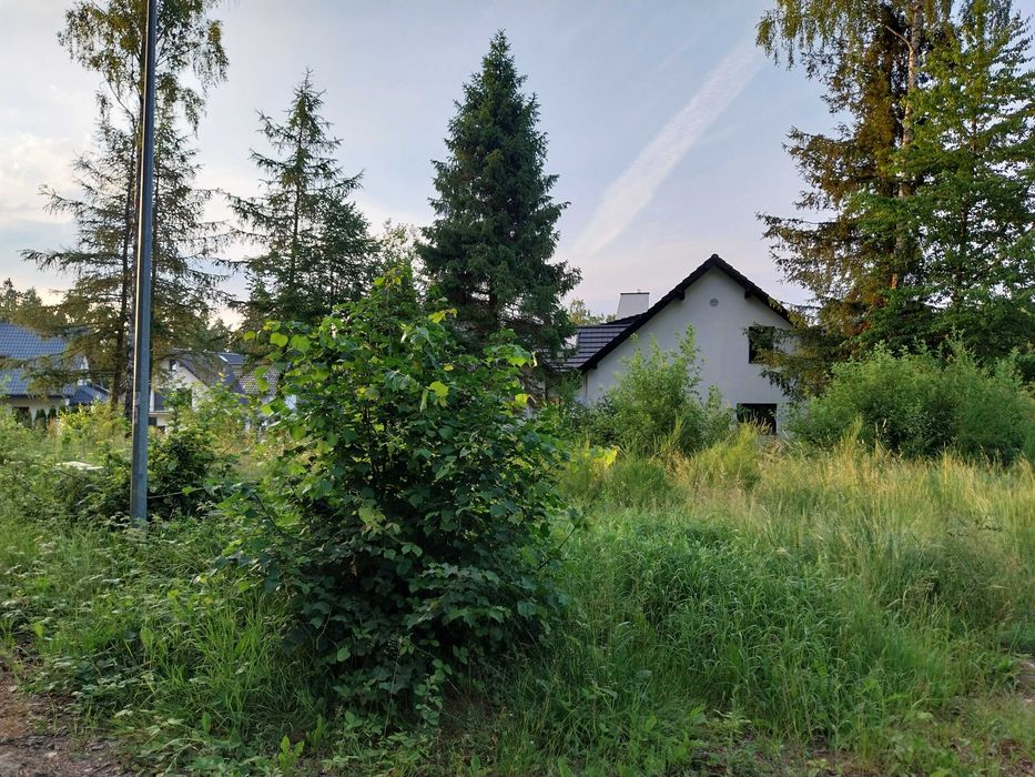 Działka budowlana z mediami 1280 m², Rekowo Górne ul. Świerkowa - Widok 4