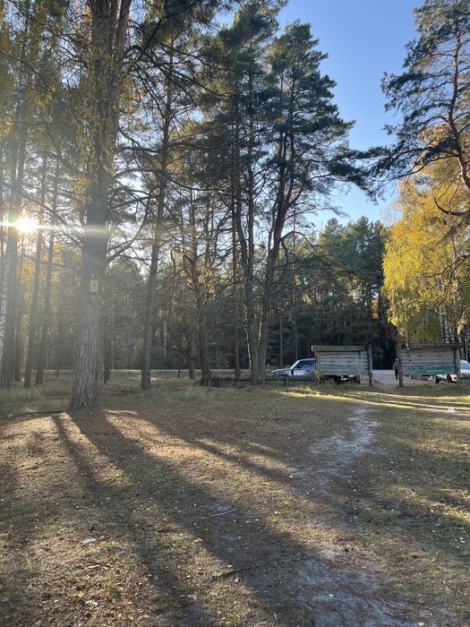 Продам ділянку , дачу с. Пилява. Вишгород.