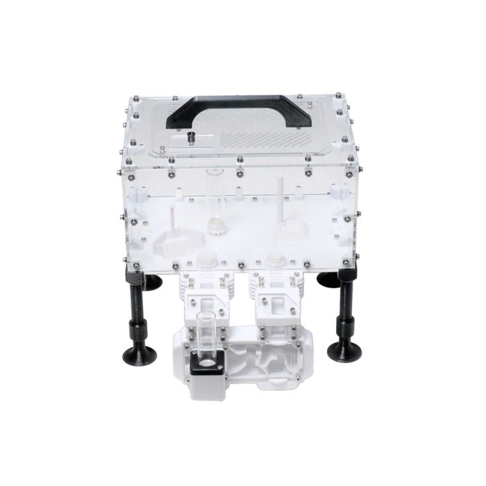 Формікарій, мурашина ферма