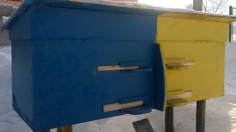 Нуклеуси, Вулики, кормушки для бджіл