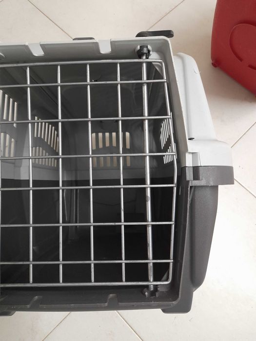 Transportadoras de gato