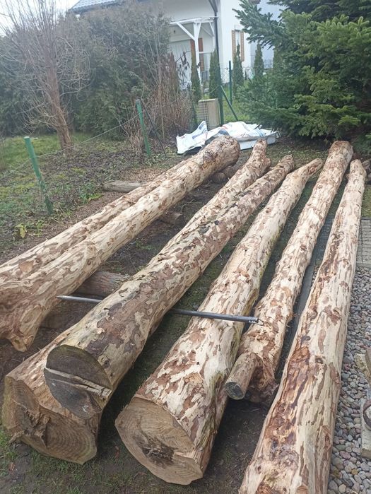 Bale jodły kaukaskiej sezonowane