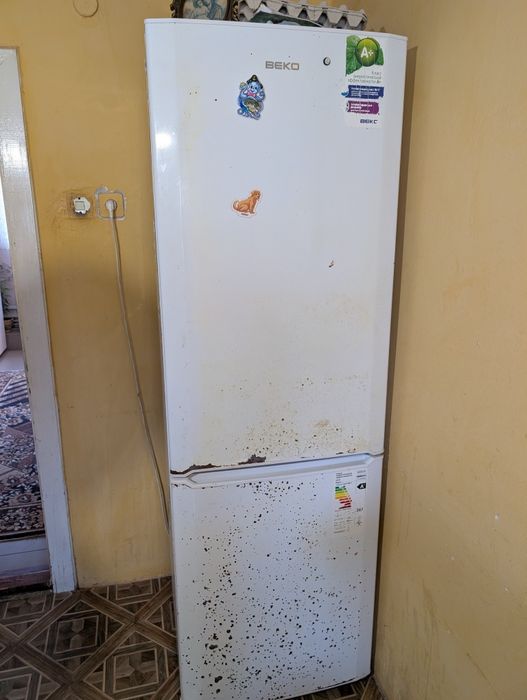 Холодильник Beko