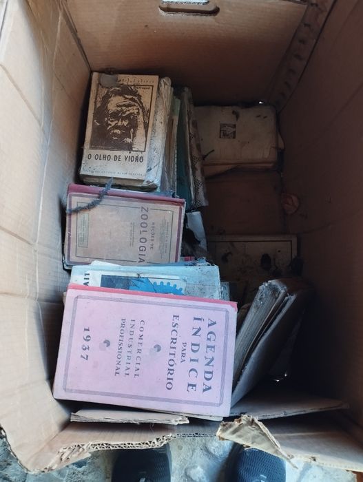 Vários Livros Antigos