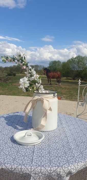 Noclegi, noclegi pracownicze, tanie noclegi, pokoje PIŁA negocjacja ce