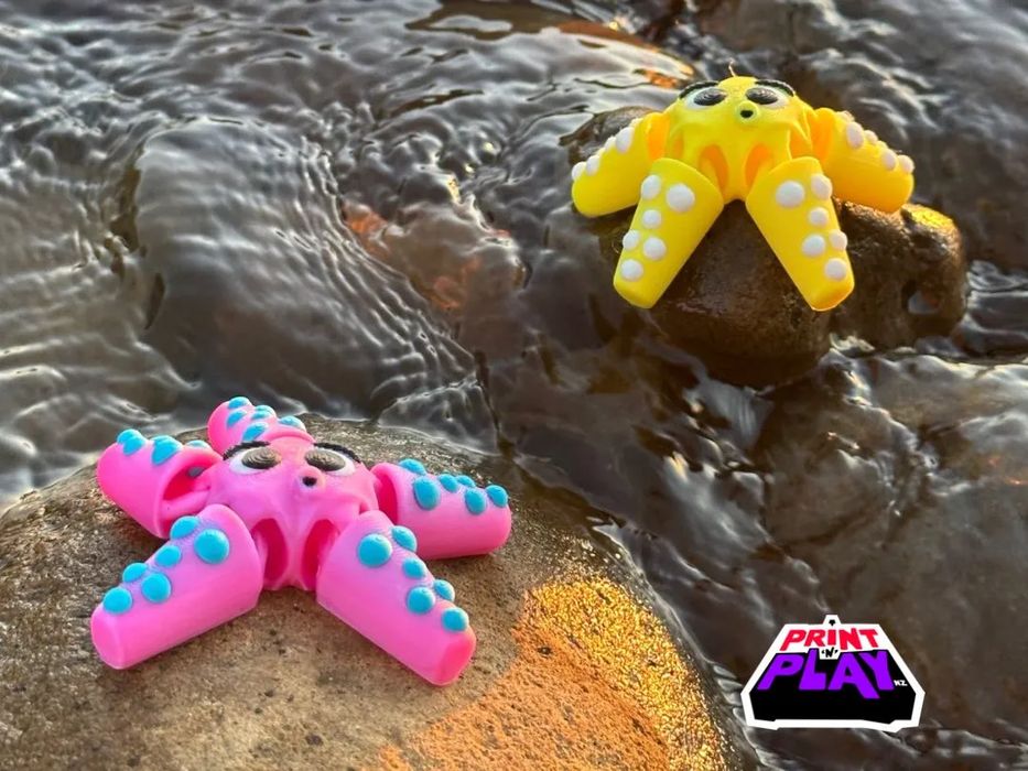 Estrela do Mar Flexível Divertida