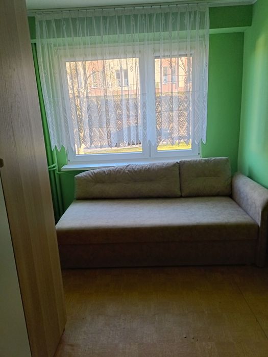 Pokój do wynajęcia
