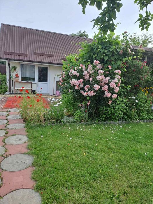 Продається будинок в с.Зарічани