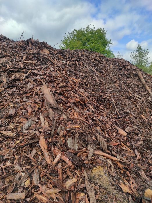Skup zrębki trociny odpadów drzewnych