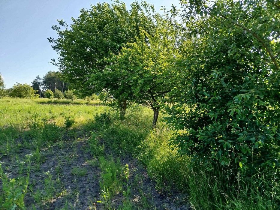 (8) Продам земельну ділянку в с. Медвеже Вушко 8614