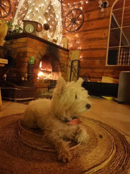 Apartament Ferie Zimowe 2026