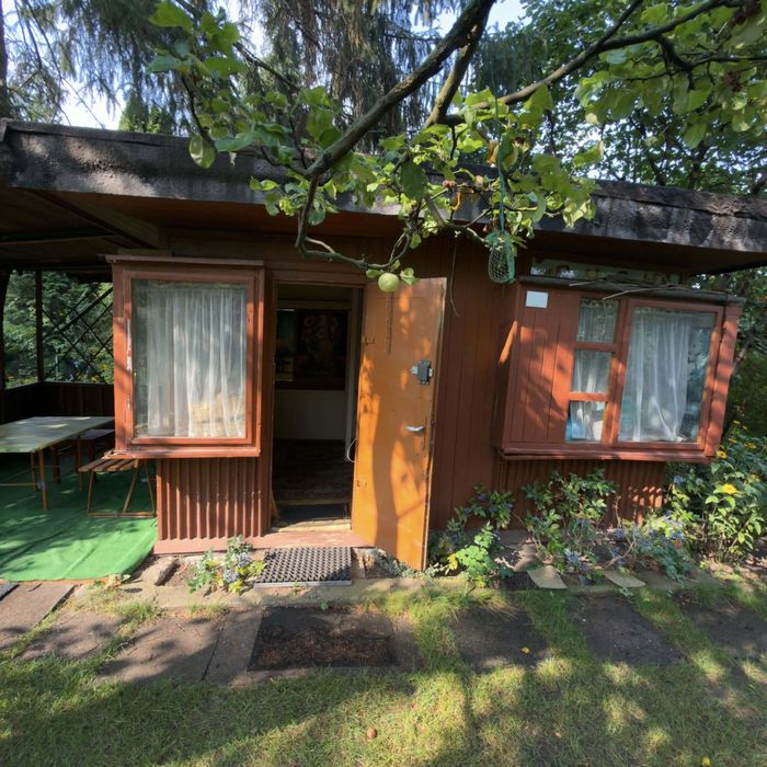 Wyjątkowa działka ROD – Mokotów | ROD im. Jana III Sobieskiego | 450 m² | Piękny starodrzew | Piwniczka - Widok 5