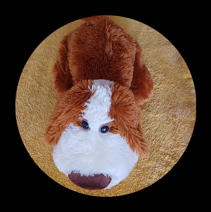 М'яка іграшка (собака),яскрава і  чудова .