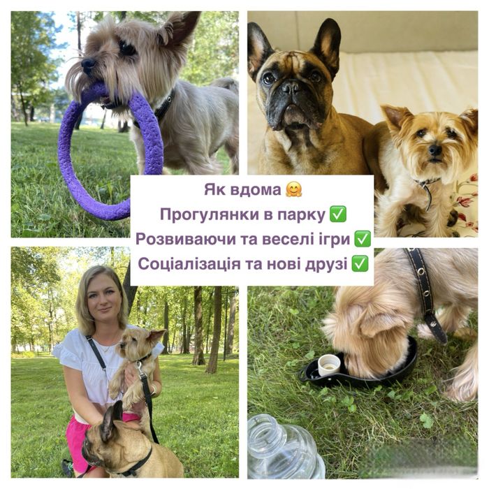 Готель для тварин, перетримка