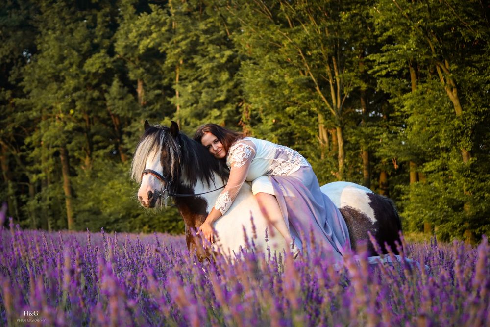PILNE Wszechstronny kuc cygański klacz tinker gypsy irish cob + FLEXINEB