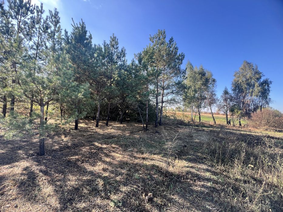 Продам земельну ділянку 20соток с.Сулимівка (дачний кооператив)