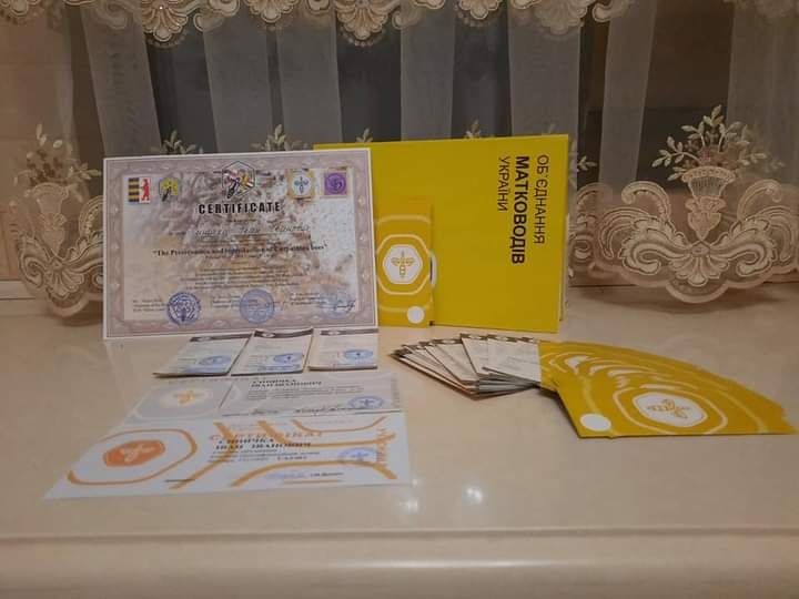 Продам матки "Карпатки" 2026р.