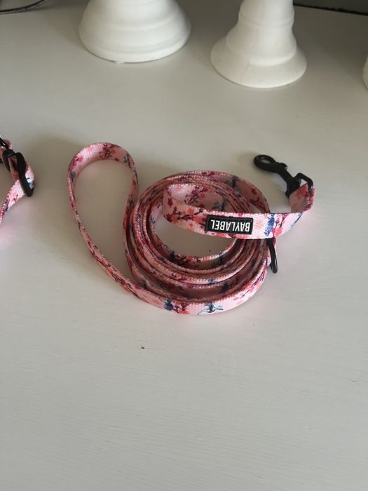 Szelki i smycz Baylabeer