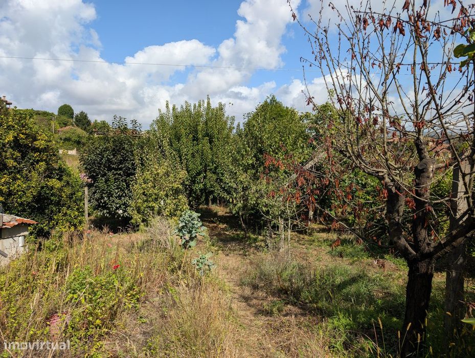 Terreno Misto em Vilaça – 1.100 m²