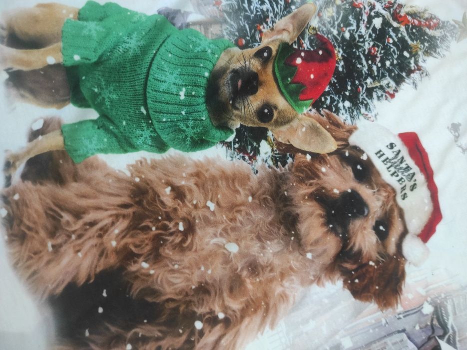 Świąteczny t-shirt dziewczęcy H&M