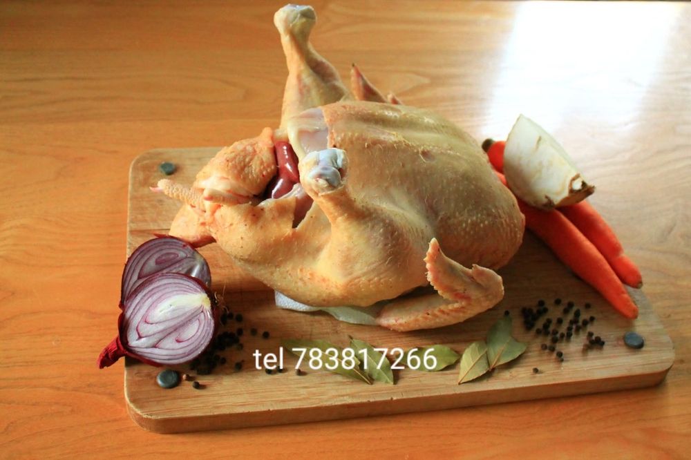 Tusza z kurczaka wiejskiego