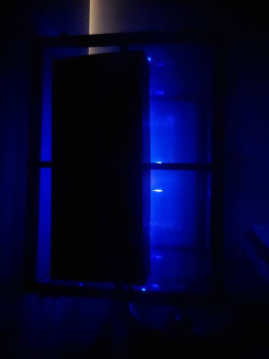 Sprzedam terarium i lampę