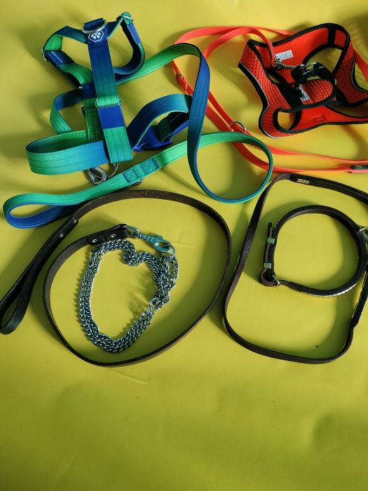 Шлея для собаки Європа