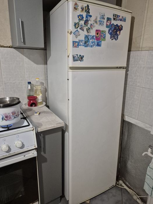 холодильник Snaige