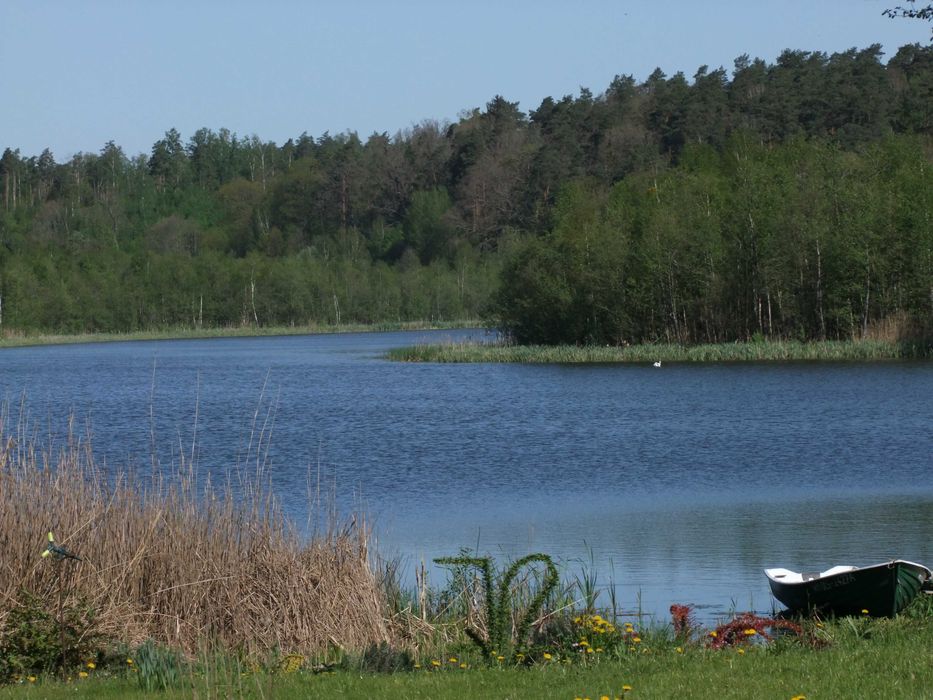 Dom – Brejdyny - Widok 3