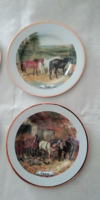 Decorative Ceramic Plates443149854997882882