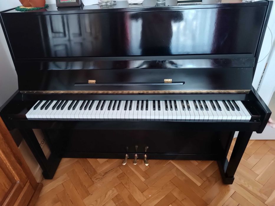 Pianino Calisia koncertowe