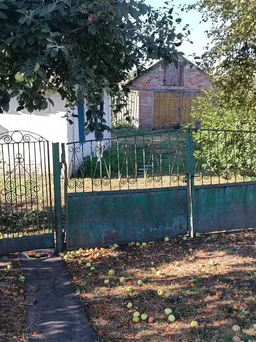 Будинок з ділянкою Велика Багачка (Полтавська область)