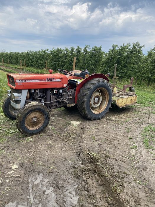 Massey Ferguson MF 152 mklll  3cyl 47km, 3700mth, sadowniczy, 135 255 158 247