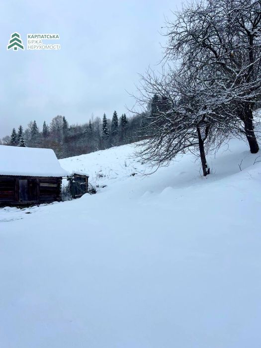 Старий будинок разом з земельною ділянкою в селі Подобовець