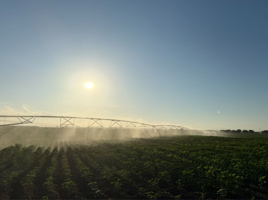 2 Pivots de rega (24ha & 26ha)