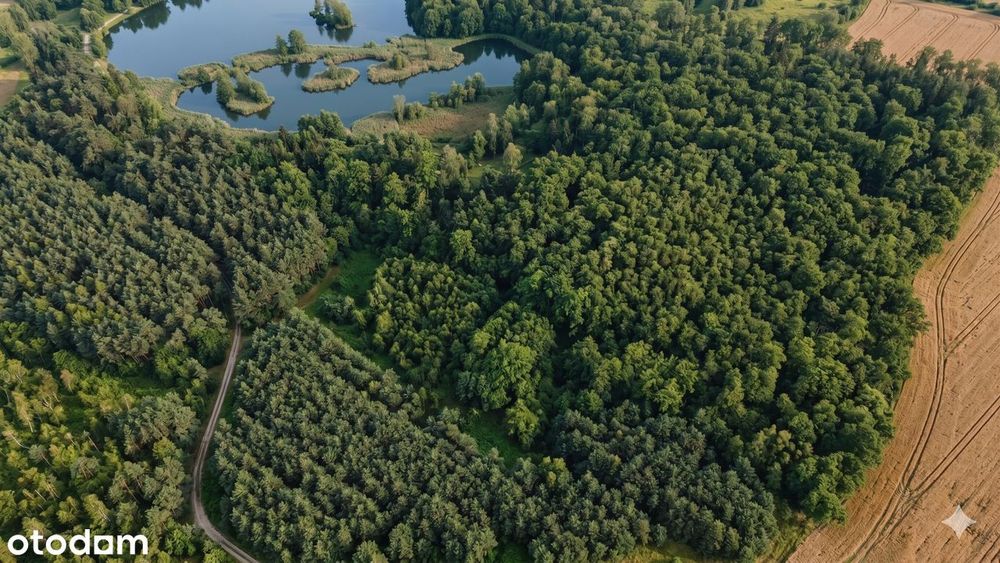 Działki rekreacyjne w lesie, na weekendowy odpoczynek-Dolnośląskie! - Widok 2