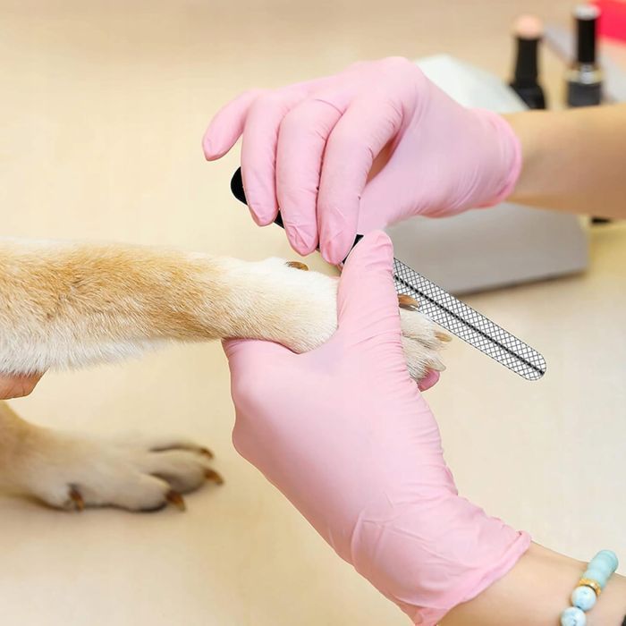 Obcinaczki Nożyczki Do Pazurów Dla Psa Zwierząt Pilnik Precyzyjny