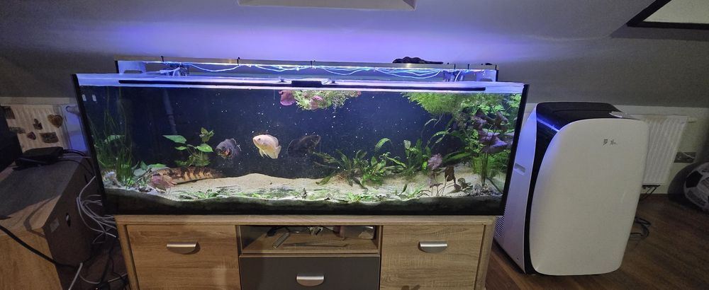Sprzedam akwarium 375l
