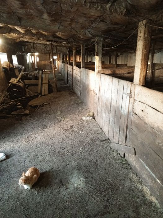 Приміщення свиноферми с.Юрки.Кременчуцького рн