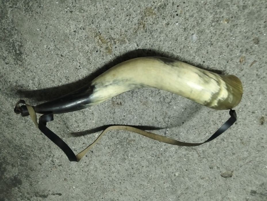 Instrumento  de sopro