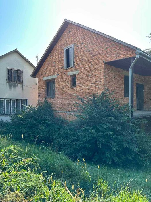 Продається будинок в с. Бедевля