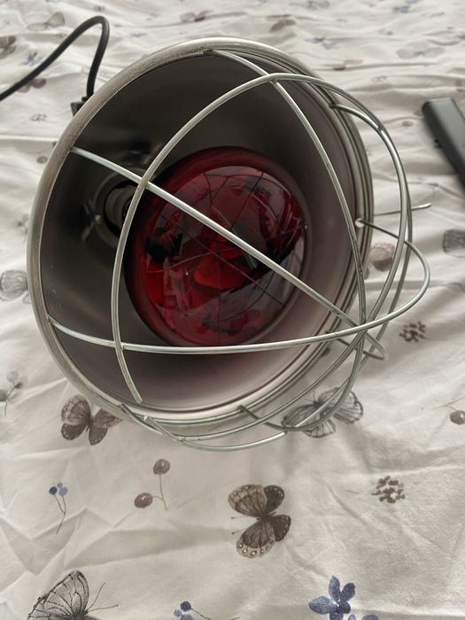 Lampa do ogrzewania szczeniąt