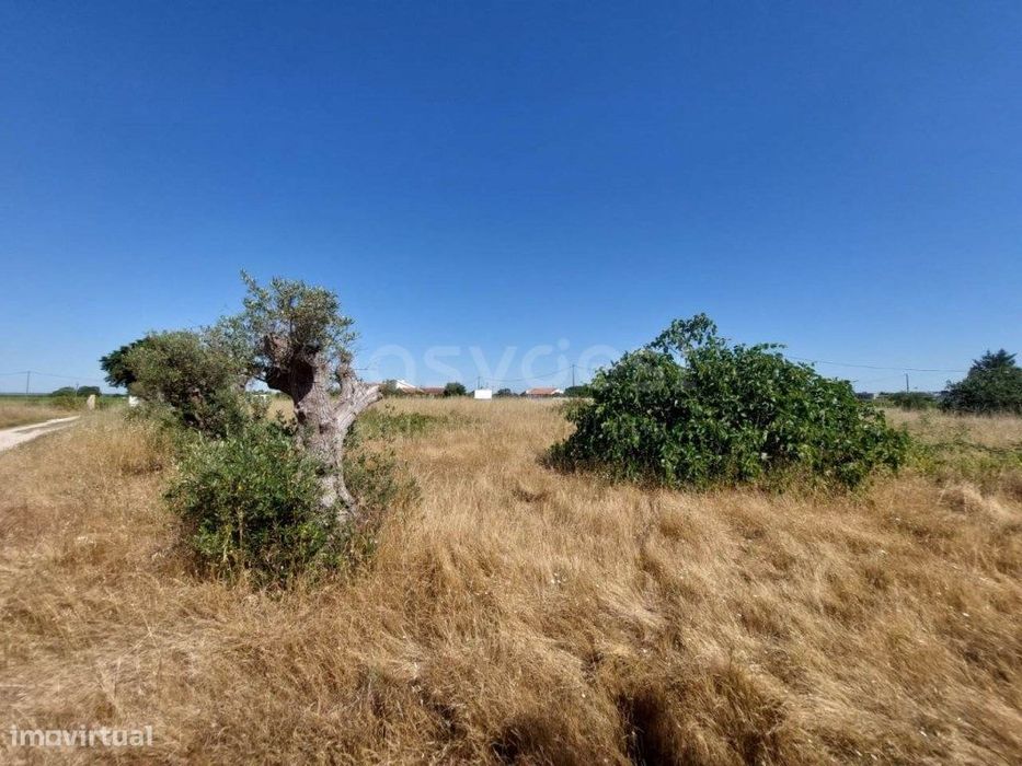 Terreno rúsitco no Lau com possibilidade de construção