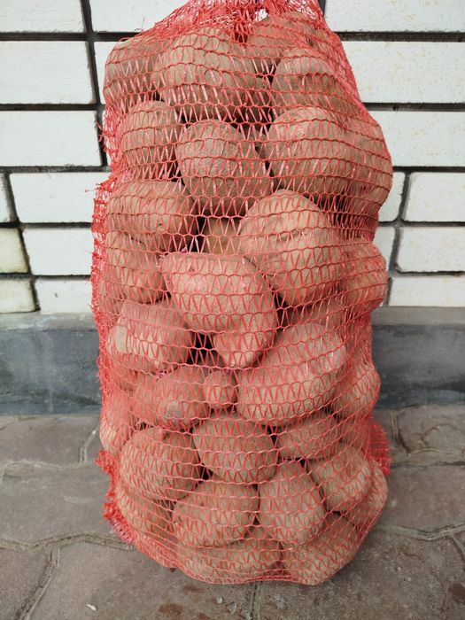 Продам картоплю домашню Біллароза