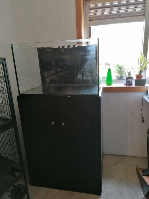 Aquário de água salgada