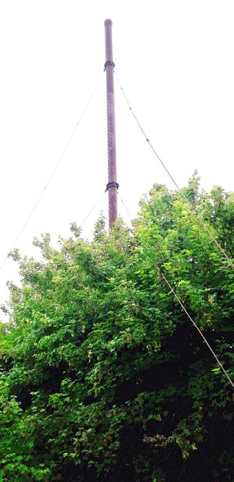 Коммерческая недвижимость по адресу Люстдорфская дор. (площадь 5284 м²) - Atlanta.ua - фото 9