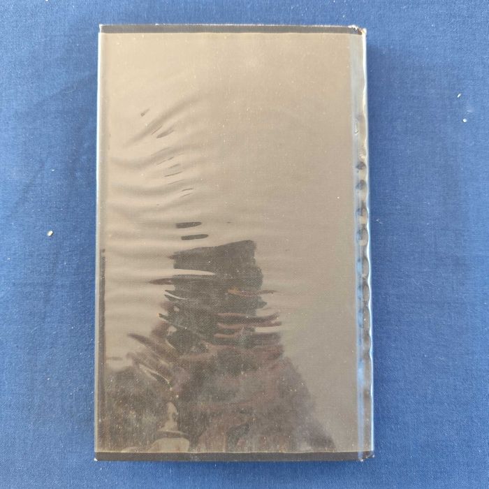 Leopold Sacher-Masoch - A Vénus das Peles