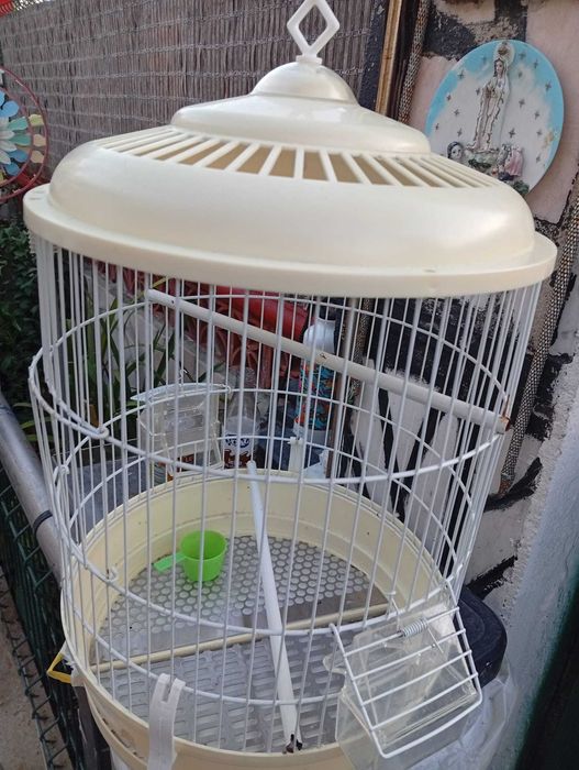 Gaiola para Aves Canarios/Piriquitos