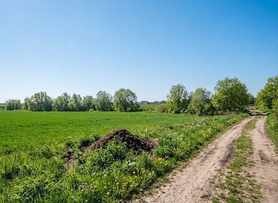 Продаж земельної ділянки 10 соток - ОСГ. Біля лісу. с.Оліївка. ID:747